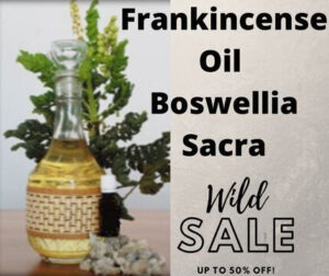 Frankincense Essential Oil